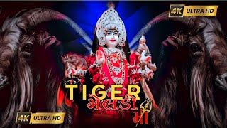 🐯TIGER MELDI || ટાઈગર મેંલડી || MELDI MAA STATUS || #youtubeshorts #viralvideo #shortvideo