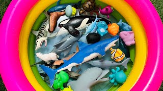 Learn Animal Names, Animal toys, Animals for kids, Sea Animals, Wild Zoo, Farm, Animals for toddlers