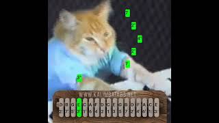 KeyBoard Cat Meme Kalimba #meme #kalimba