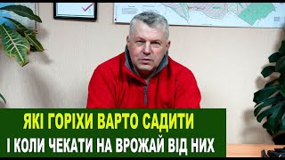 №167 Споживчий кошик горіхоплідних: що садити та коли чекати урожаю