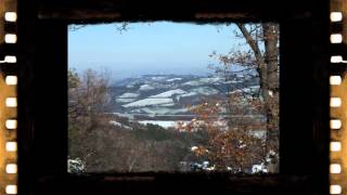 monte adone dicembre #cani #dogs #goldenretriever #bestfriend #lol #snow #snowdog #bologna