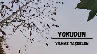 Yılmaz Taşdelen - Yokudun