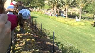 San Diego Sept12 - Safary Zoo Cheetah Run