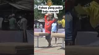 Burung ini turunnya bikin kaget #shorts #merpatikolong #merpatiplayer