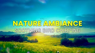 Peaceful Instrumental Music and Birds Chirping- Relaxing Music to Begin Your Morning