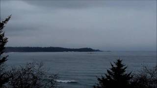 Tofino 2010: Florencia Bay, on the West Coast of Vancouver Island