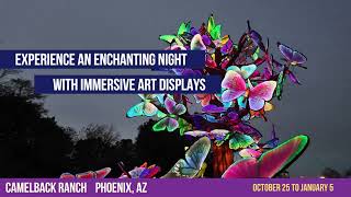 Tianyu Lights Festival Phoenix | Tickets on Sale Now!