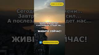 Живите сейчас #психология #мысли #мудрость #мудрыеслова #цитаты