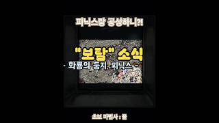 옛날 리니지 구버전 - 화둥 피닉스가 미티어를 준다던데?! #리니지 #리니지구버전 #피닉스 #보스 #보탐 #games #gaming #게임 #리니지추억