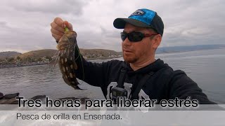 3 horas para liberar stress, pescando desde orilla en Ensenada.