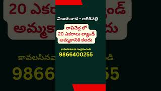 Land for Sale in Ravicherla | Agiripalli | Vijayawada | 9866400255 | #shorts #viral #krishnadistrict