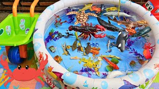 SEA ANIMALS FOR TODDLERS: WHALE SHARK, ZEBRA SHARK, BELUGA WHALE, BLUE CRAB, AND OTHERS