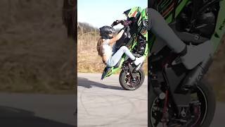 @lezitow #motovlog #bikelife #bikegirl #bike #viral #bikestunt #viral #shortvideo #stunt #shorts #