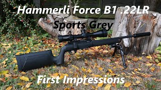 Straight Pull 22 Rimfire, Hammerli Force B1 .22LR Sports Grey, First Impressions