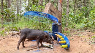 Best Creative Wild Pig Trap Using Electric Fan & Wood # shortvideo