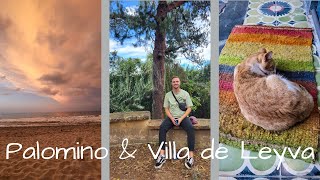 Vlog 56 - Backpacking Kolumbien // PALOMINO & VILLA DE LEYVA