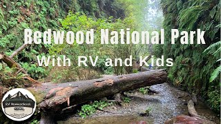 Redwood National Park and State Parks - with RV and Kids