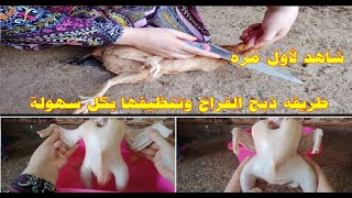 طريقة ذ ب ح 🔪 الفراخ البلدى بكل سهولة  وتنظيفها والتخلص من الزفاره بطريقة بسيطة 🐔🐔