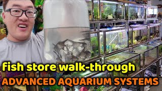 FISH STORE WALK-THROUGH: ADVANCED AQUARIUM SYSTEMS & TRADING IN MY ANGELFISHES