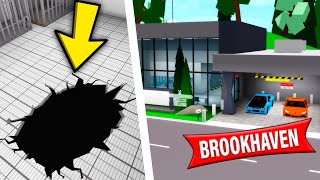 NEW SECRETS from Brookhaven UPDATE!