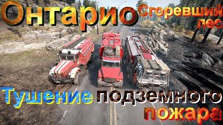 🔥👨‍🚒🧯🌳ОНТАРИО🌲🧯👨‍🚒🔥СГОРЕВШИЙ🔥🌲ЛЕС🌳 🚒ТУШЕНИЕ🧯ПОДЗЕМНОГО🌋ПОЖАРА🔥  ЭТО НУЖНО ЗНАТЬ🚦ПОДП❗ПОСТ👍НАЖМИТЕ🔔