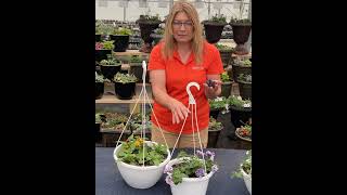 Hanging Basket Care Tips