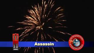 ASSASSIN 24