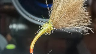 Hotspot Olive CDC emerger