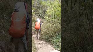 Hutan merbabu via thekelan #merbabu #merbabuview #hiking #forest #mountain