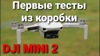 DJI Mini 2 - первые тесты из коробки.