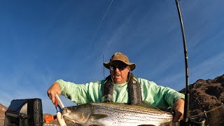 Jackson Big Rig FD. Two-part video. Willow Beach. Got a 20 lb on the new Fire Trout #tonygarcialures