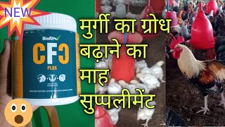 Murgi ka growth baraye | मुर्गी का ग्रोध बढ़ाये | sell your farm product