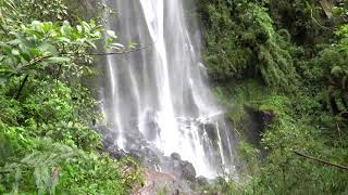 La Chorrera Waterfall Colombia