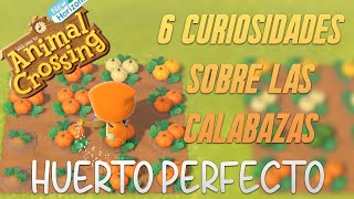 🎃6 Curiosidades sobre las calabazas🎃 - Animal Crossing New Horizons Guía