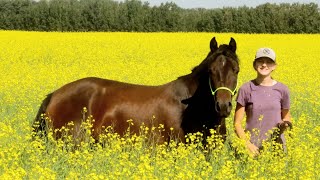 A girl and her horse! Ava and Zuri's story!