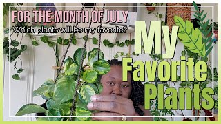 July Favorites!