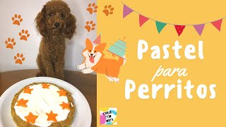 🎂 TORTA DE CUMPLEAÑOS para PERROS - MUY FÁCIL - Ingredientes simples y aptos!