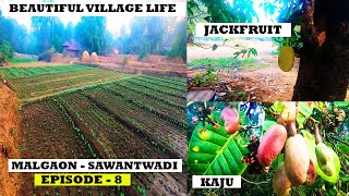 Solo Ride | Beautiful Village Life | Malgaon Village in Sawantwadi | Episode 8