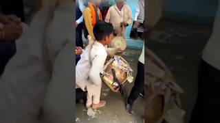 Garhwali Dhol Damau ❤️🔥#shortsfeed #shortshorts #pahadi #viralvideo #shorts #trendingshorts