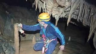 cueva de los chorros, parte fósil