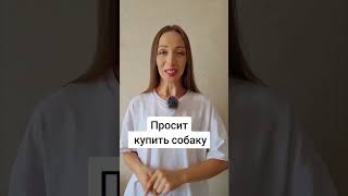 Ребенок просит купить животное