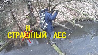 СТРАIIIНЫЙ ЛЕС. Копаем тракт Подольск-Бронницы