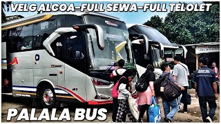 BUS PALALA " SENOPATI " SEMAKIN GAGAH DENGAN ALCOA DAN HEAD LAMP VARIASI