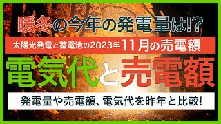 暖冬の影響は？2023年11月の電気代と売電額を昨年と比較。暖冬で発電量は変化するのか最新の発電量を確認してみました。蓄電池を充電する深夜の電気代が高くなってから１年以上が経った戸建て3人家族。