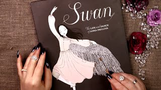 ASMR Book Tracing & Brushing 📘 Gentle Page Turning ✨ Swan Illustrated Book (No Talking)