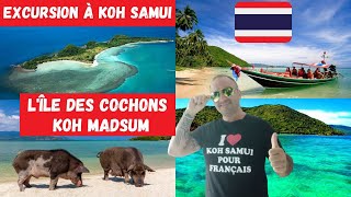 [EXCURSION] Découverte d'une de Mes Excursions en Privé l'ile des Cochons Koh Madsum à Koh Samui !!