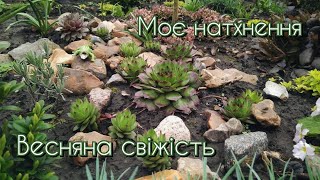 ЯСКРАВИЙ МІКСБОРДЕР🌿 Квіти 🌸 Весна 🍀 Релакс 💚