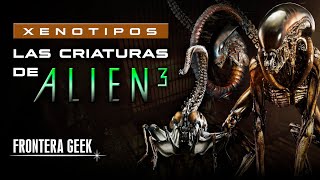 ALIEN 3 | ¿Qué es el ABRAZACARAS DE LA REINA, ALIEN DRAGON o Corredor y Revientapechos de la REINA?