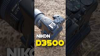 Nikon Camera Professional Photography #shorts