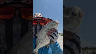 May 4, 2024 #fishing #surffishing #pennfishing #pompano #gopro #adventure #gear #florida